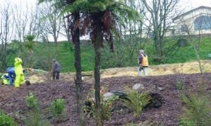 Fonterra staff on the upper track. Cambridge Tree Trust